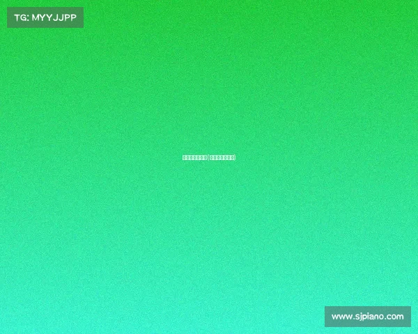 巴西甲赛事特点(巴西的足球赛事)