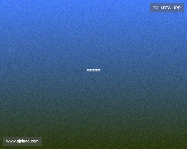 国际越野跑挑战赛