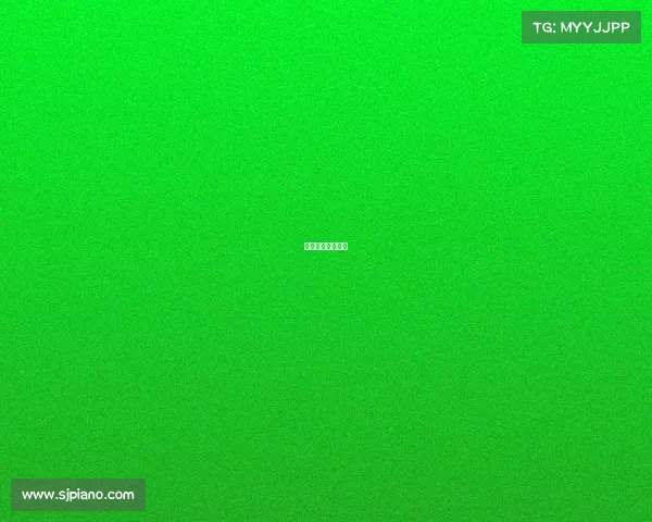 猛龙赛事直播视频