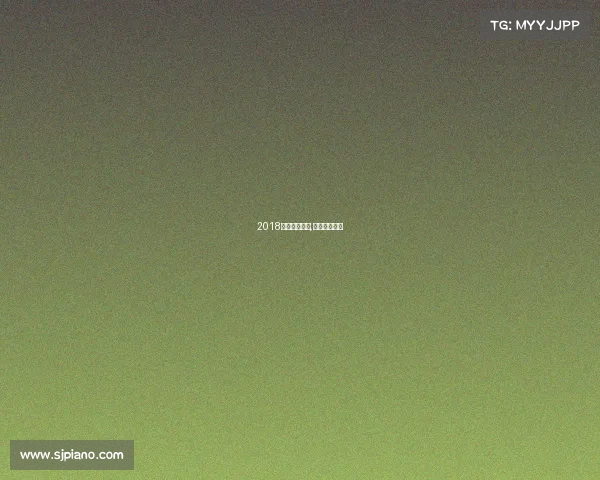 2018莎拉波娃赛事,莎拉波娃决赛