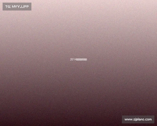 2014年举办过什么赛事