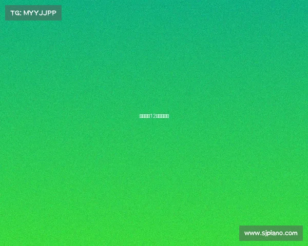 地表最强12人比赛结果